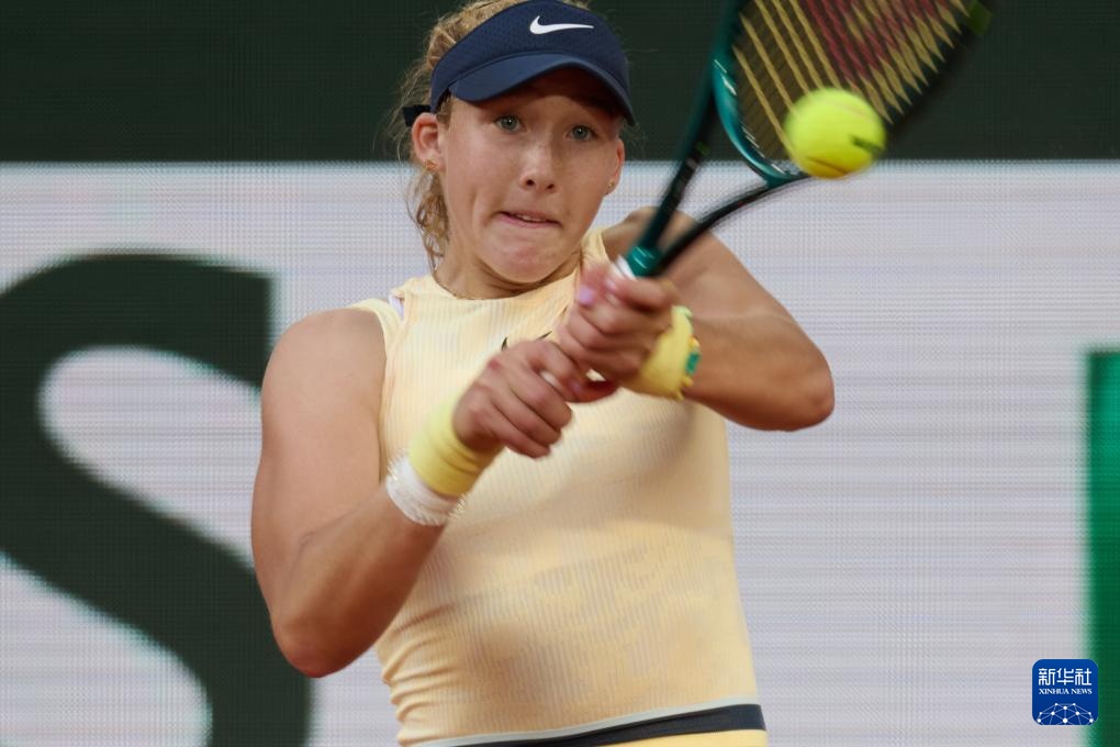 可能会产生 可能会产生